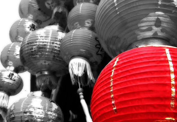中國燈籠 (Farolillo chino)